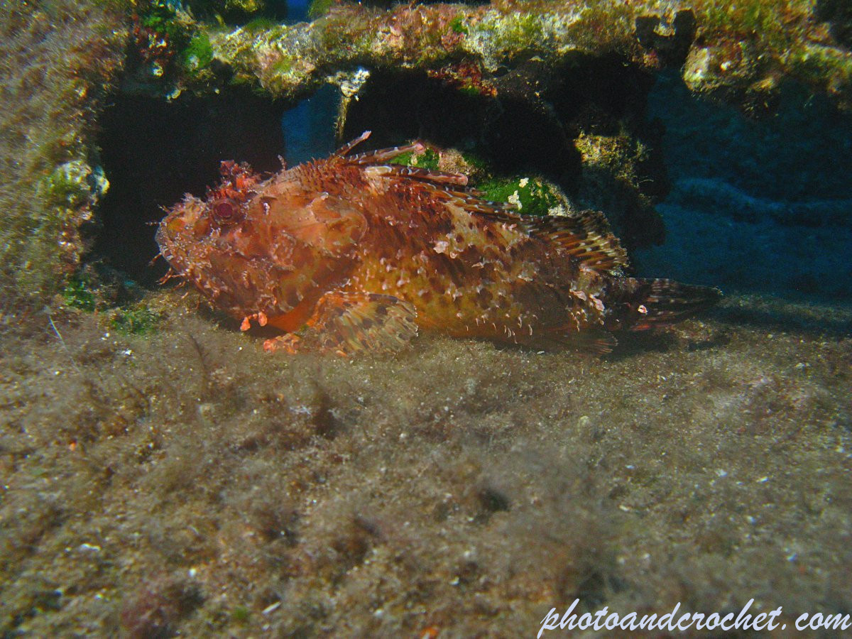6a8495cd34220_img_7116_uw_170826