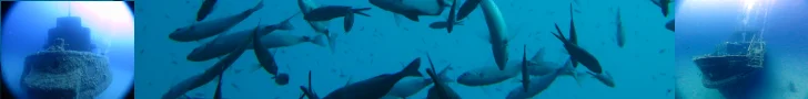Under water image banner